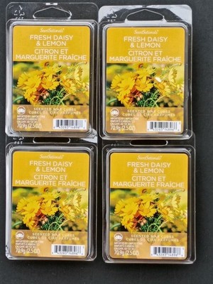 4 SCENTSATIONALS SCENTED Wax Melts  FRESH DAISY & LEMON 6 Cubes Per Pack