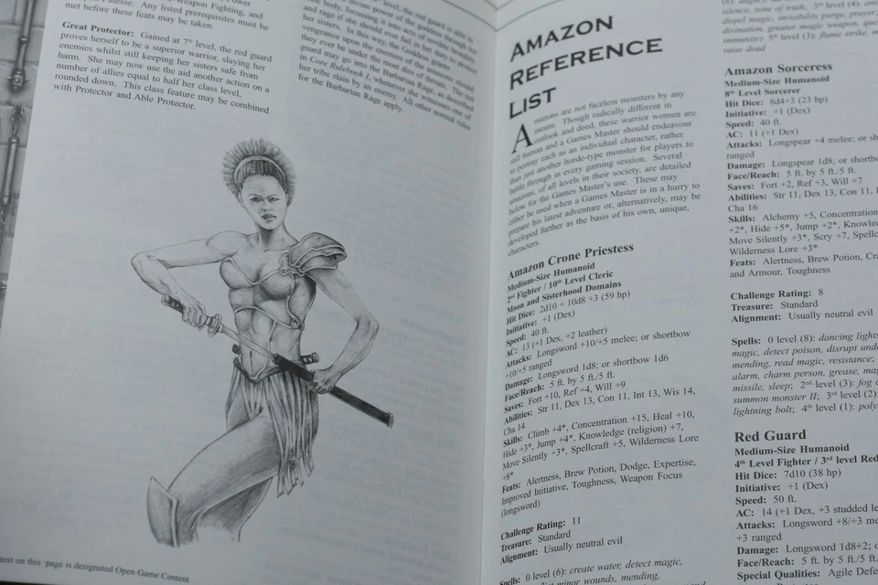 d20 System The Slayer's Guide To Amazons - FAST SHIPPING - Image 3 of 4