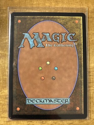 MTG✨EURO Land Promo FOREST Nottingham Forest, UK🇬🇧✨Purple MINT