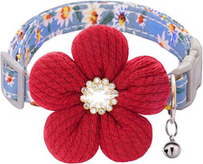 Small Dog Collar with Flower, Puppy Collar for Girl Dog Collars for Small Dogs C
