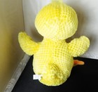 Picture 4 of 6