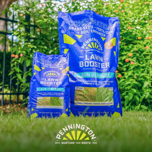 Pennington Lawn Booster Grass Seed and Fertilizer Mix, for Sun to Partial Shade - Picture 13 of 24