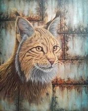 Painting, painting, oil on canvas size 33/41 cm year 2024 lynx