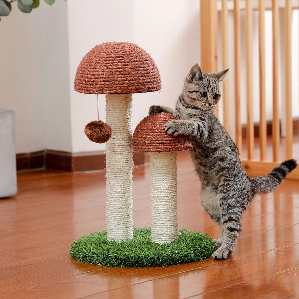 Catch top cat tree