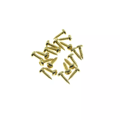 Stainless Steel American #2 & #3 x 1/4" Truss Rod Cover Screw fits Gibson/Fender