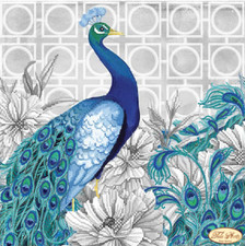 Bead Embroidery Kit Peacock Beaded needlepoint DIY Tela Artis