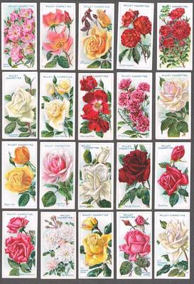 1914 Wills's Cigarettes Roses Second Series Tobacco Cards Complete Set of  50
