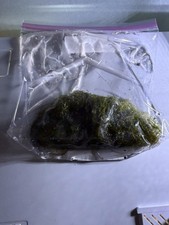 Java Moss Extra Large Portion. Great for Shrimp  Fry.