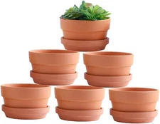 5" Terracotta Clay Pots with Drain Hole & Saucer for Healthy Plants