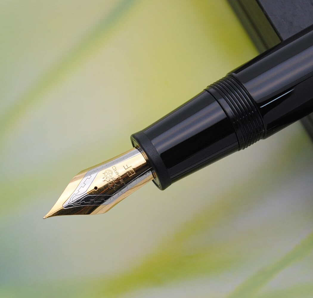 JINHAO 9019 - Pluma Estilográfica Dadao Series Con Convertidor De Tinta De Alta Capacidad Transparente Punta Mediana De 0 028 In