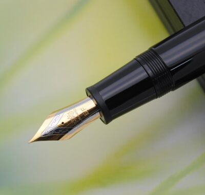 Fijne vulpen met iridium punt voor een soepele schrijfervaring