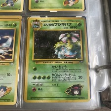 Image for Erika's Venusaur