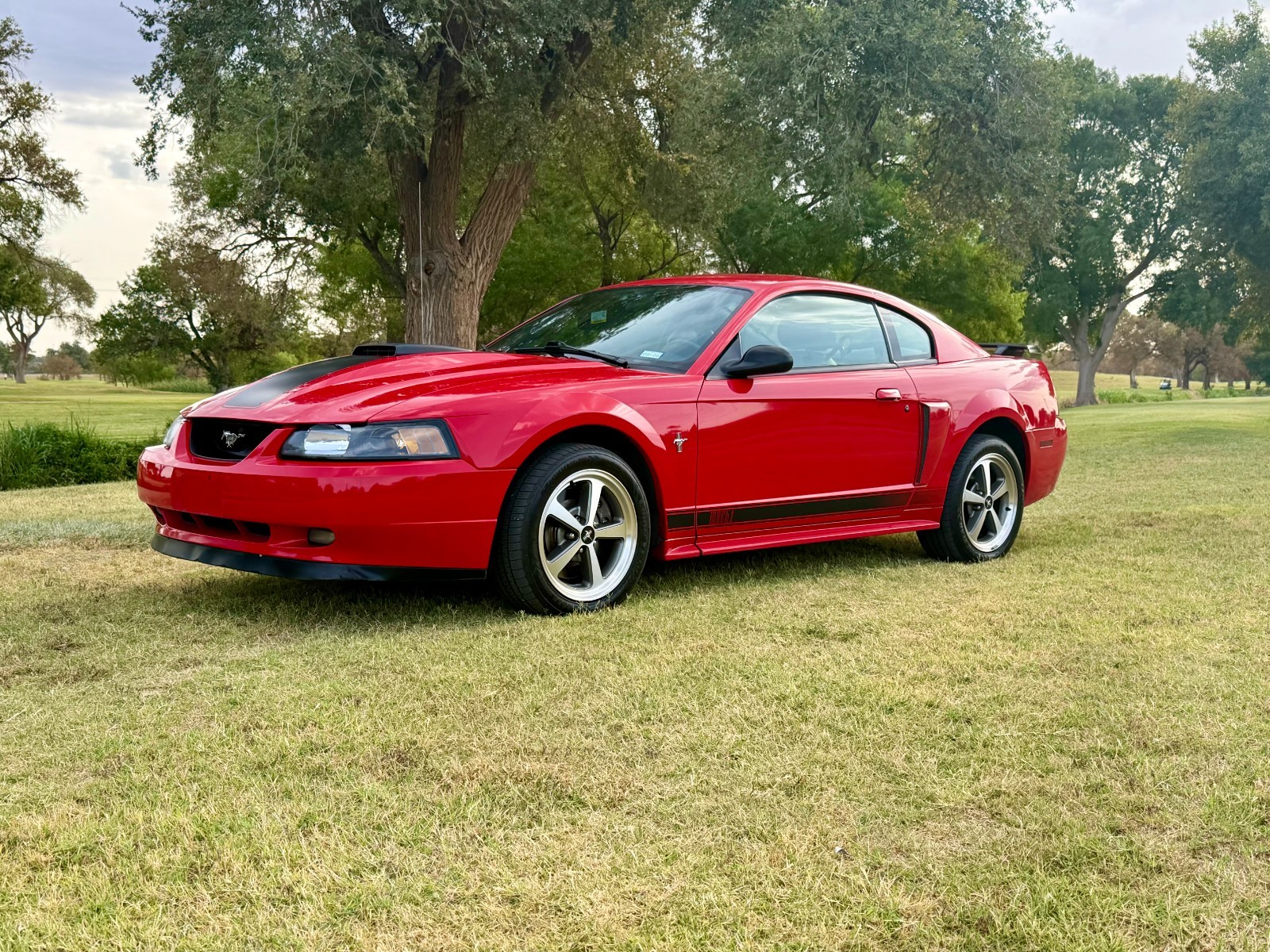 2003 Ford Mustang MACH I