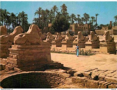 Postcard - Egypt - Karnak - The famous sphinx avenue at amon temple - CPM