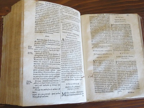 1637 NICOLAS CAUSSIN De eloquentia sacra et humana LATIN-GREEK Oratory-Eloquence - Foto 17 di 24