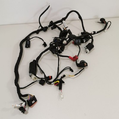 Malaguti Drakon 125 ET0 EZ:22 Kabelbaum Elektrik Kabel Stecker C3226