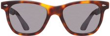 AO American Optical Saratoga Sunglasses Tortoise 1 Green, 54-19-145