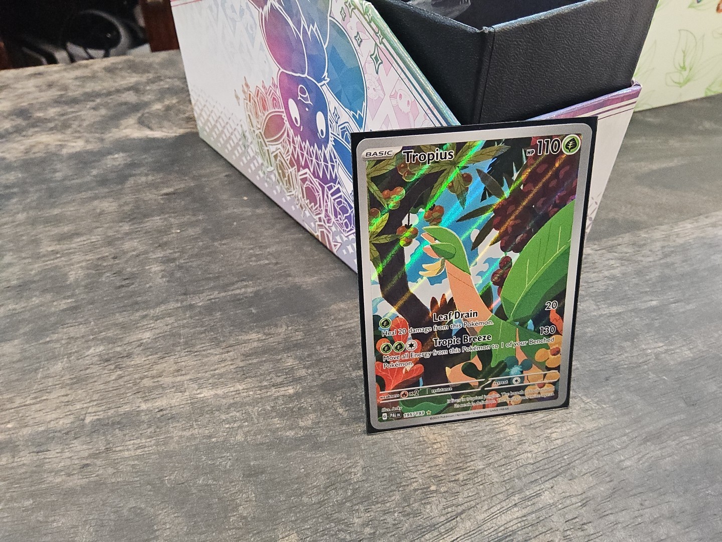 Tropius 195/193 Paldea Evolved Illustration Rare Pokemon TCG Card NM