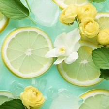 Wild Lime  Gardenia Type Fragrance Oil for candle/soap making Free Shipping