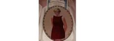 BRADFORD EXCHANGE PRINCESS DIANA COLLECTABLE PLATE # 23