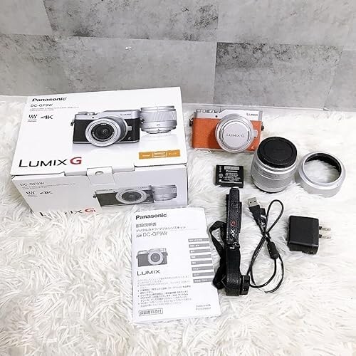 ショット数739枚 Panasonic LUMIX G DG-GF9W ショット数739枚 Panasonic LUMIX G DG-GF9W