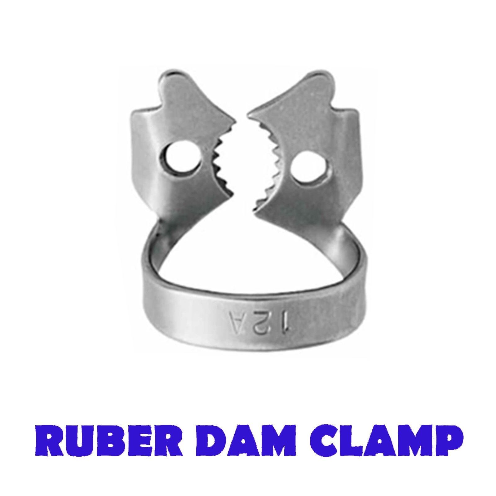 10Pcs Set Rubber Dam Dental Clamp 12A Brinker Endodontic Clamp eBay