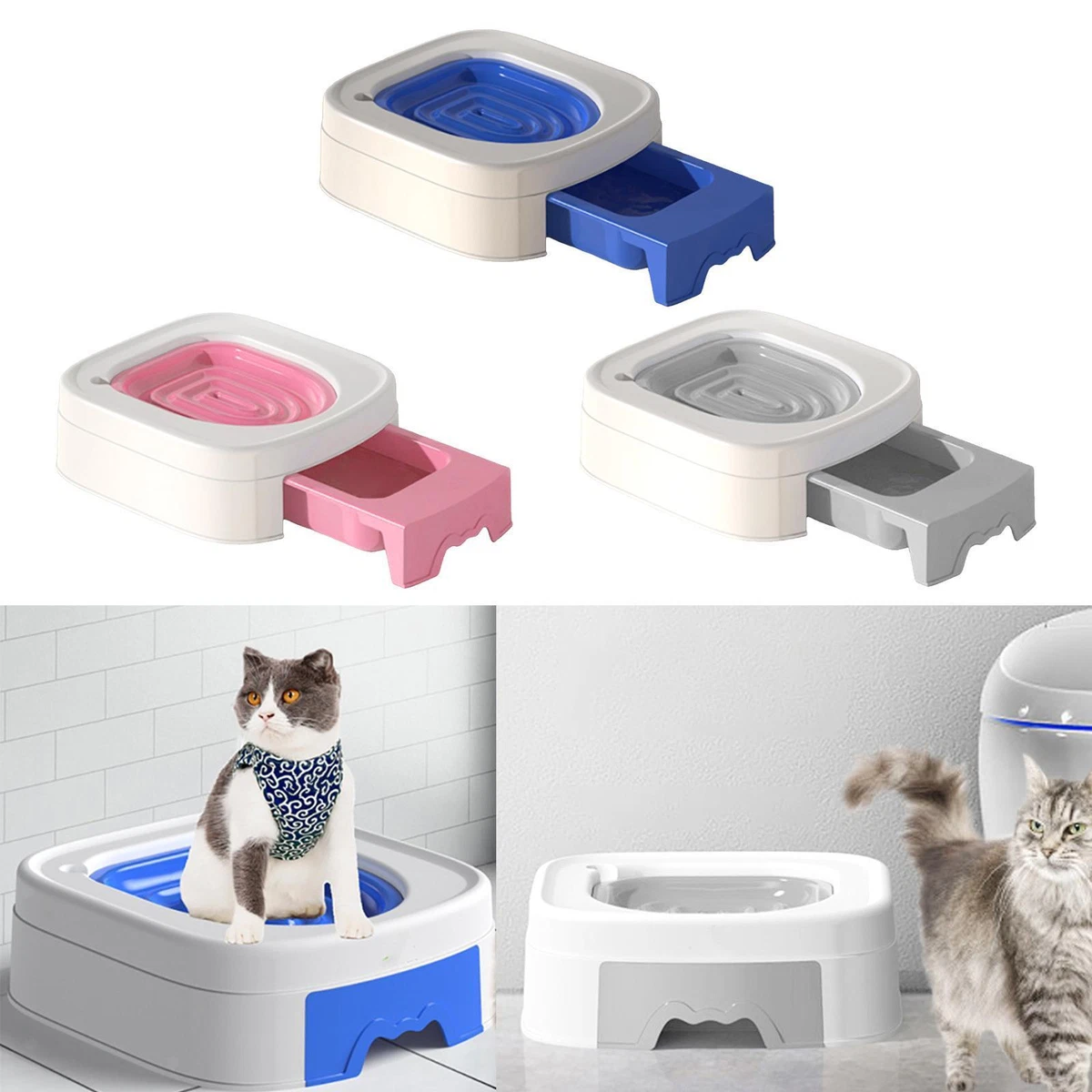 Cats and shop litter box training