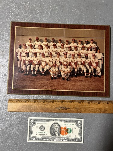 Foto vintage del equipo de los Cardenales de San Luis años 60 con Steve Carlton - Imagen 1 de 9