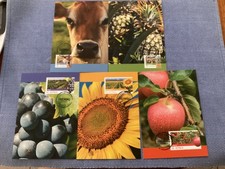 C43 FARMING (PART ONE) SET OF 5. MAXI CARDS