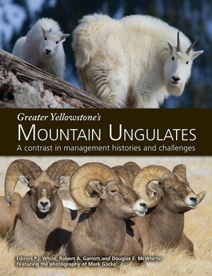 Greater Yellowstone's Mountain Ungulates | P. J. White (u. a.) | Taschenbuch