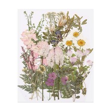 50 Pcs Dried Pressed Flower Leaves Bulk for Resin, Spring Garden