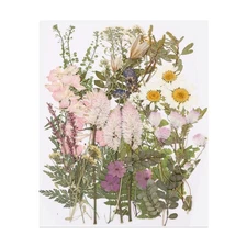 50 Pcs Dried Pressed Flower Leaves Bulk for Resin, Spring Garden