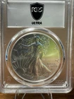 U.S. Mint 2024 American Silver Eagle PCGS MS70 1 oz .999 Silver Coin
