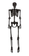 Poseable Crazy Bones Skeleton in Black Decoration