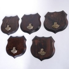 5x Wappenschilder Cinghiale Af 19cm Scudo Trofeo Rovere Foglie Piccolo