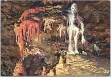 Vintage Postcard Skeleton Orgon Caves France Artistic