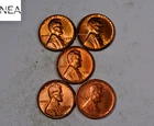(5) 1954-1958 Lincoln Wheat Penny Cent Set/Lot ~ Gem BU Red ~ Date Run ~ ZWL51