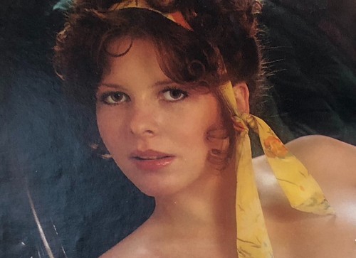 Vintage 1977 Miss June Virve Reid Playboy Centerfold and Pictorial only