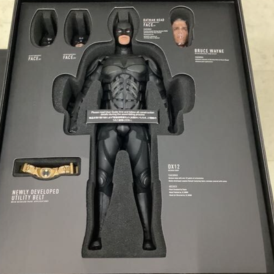 Hot Toys Batman The Dark Knight Rises Movie masterpiece DX12 1/6