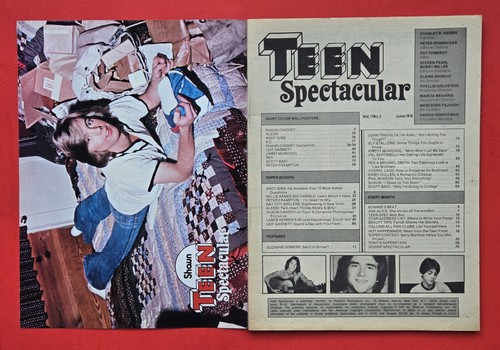 TEEN SPEKTAKULÄR April Juni 1978 Gene Simmons Frampton Cassidy Bay Stadtrollen - Bild 9 von 16