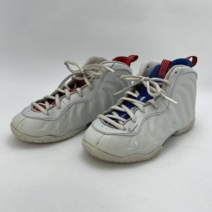 photon dust foamposite