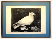 P. PICASSO "La Colombe" Reproduction Lithographie Louise Leiris. Ed Braun