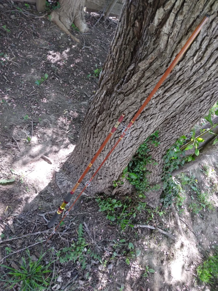 Caña de pescar trucha Daiwa VIP 82 6-8 1/2" acción media Foto 4 de 4