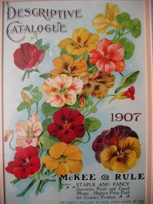 Nasturtium Pansy Print ANTIQUE E294 | c1907 Seed Catalog | Flower Floral Farm