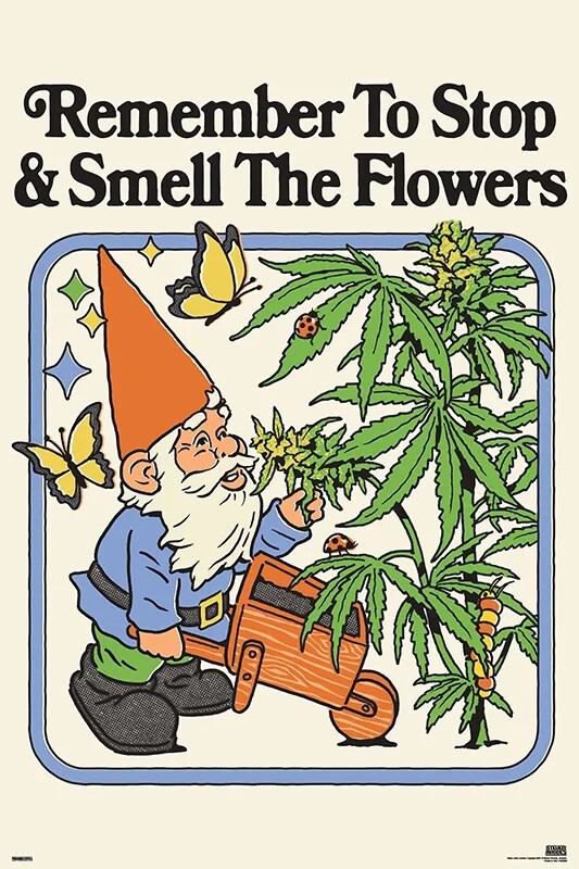STEVEN RHODES SMELL THE FLOWERS 24x36 POSTER COLLEGE HUMOR ART