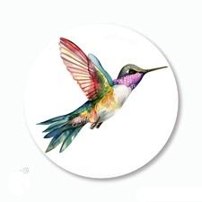 Beautiful Hummingbird Favors Scrapbook Stickers Envelope Seals Hummingbirds