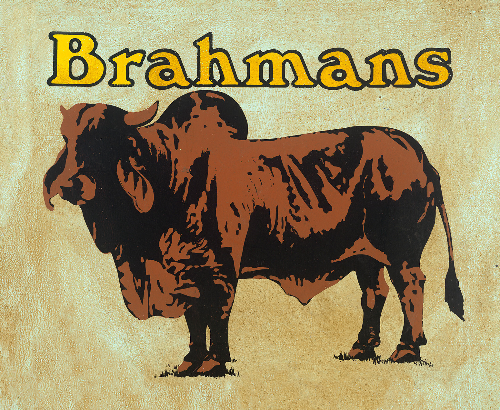 BRAHMANS CATTLE SIGN | eBay