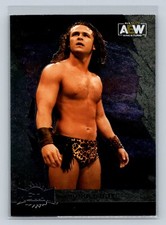 2022 Upper Deck Skybox AEW Metal Universe #15 Jungle Boy Jack Perry