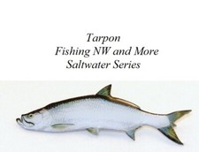 Pin Pals Tarpon Hat or Lapel Pin - Saltwater Series