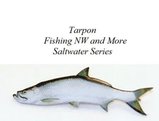Tarpon Hat or Lapel Pin - Saltwater Series
